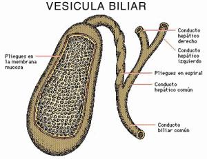 Catherine: la balada del hombre blandengue 11 300x231 Catherine: la balada del hombre blandengue