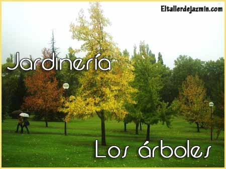 Jardinería: los árboles