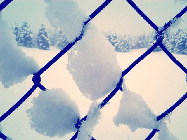 Blue Snow Yoyminikon photoblog