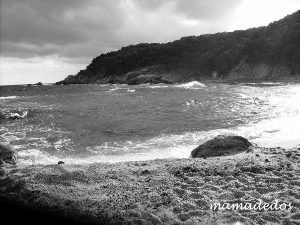 Miércoles de sensaciones Miércoles de sensaciones