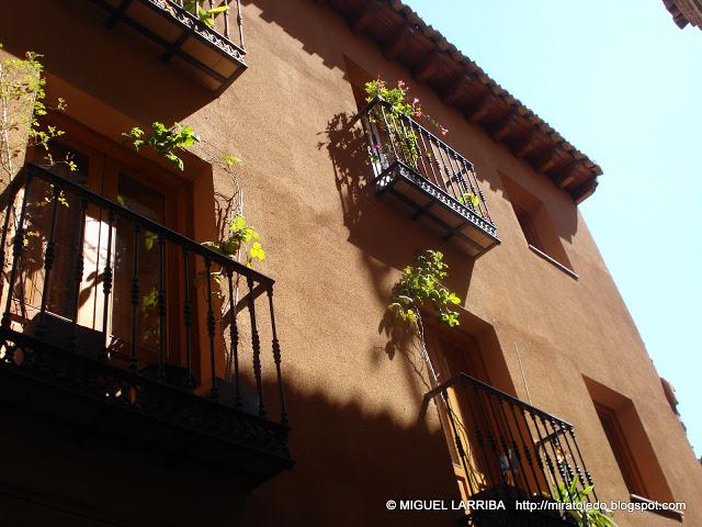 Urna de variadas razas Urna de variadas razas