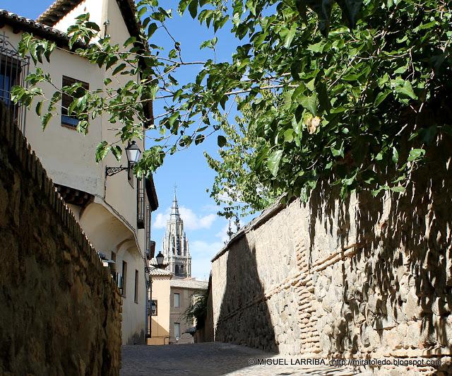 Urna de variadas razas Urna de variadas razas