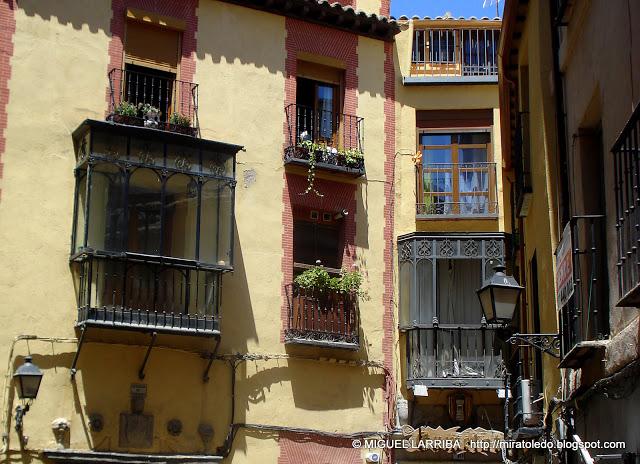 Urna de variadas razas Urna de variadas razas