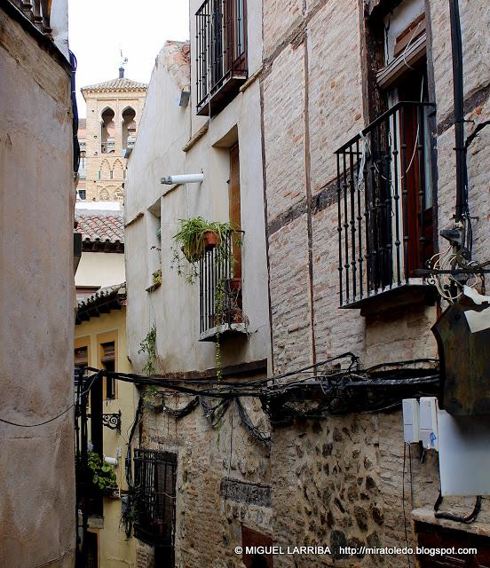 Urna de variadas razas Urna de variadas razas