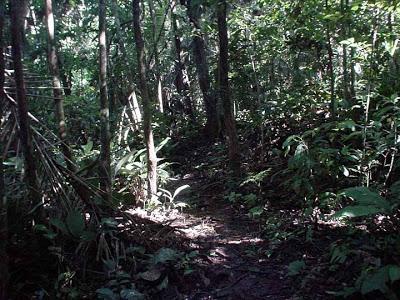 Entrevistas 99-RedPotions Nº57 Entrevistas 99-RedPotions Nº57