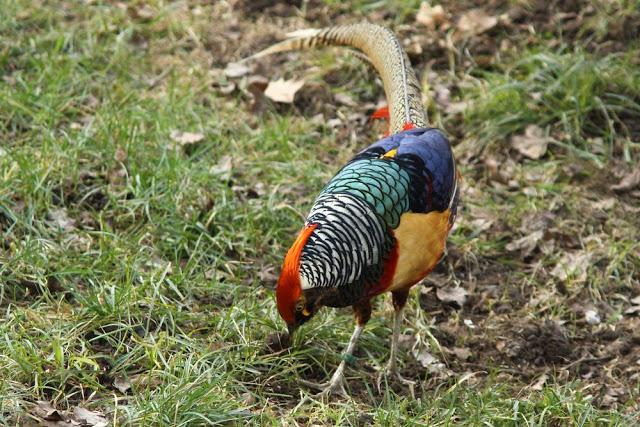 A walk in the park-Un paseo por el parque A walk in the park-Un paseo por el parque