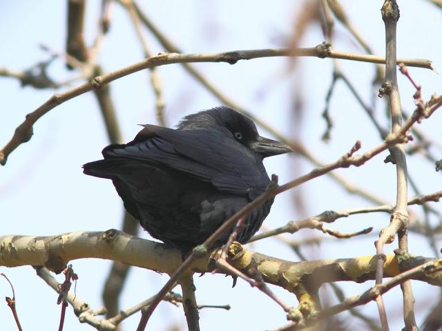 A walk in the park-Un paseo por el parque A walk in the park-Un paseo por el parque