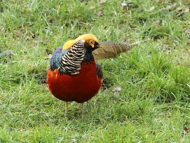 A walk in the park-Un paseo por el parque A walk in the park-Un paseo por el parque