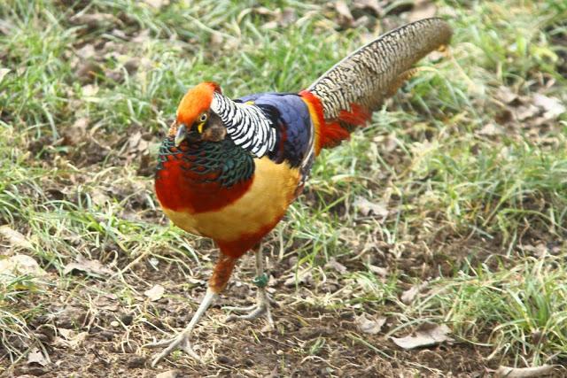 A walk in the park-Un paseo por el parque A walk in the park-Un paseo por el parque