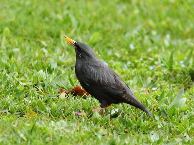 A walk in the park-Un paseo por el parque A walk in the park-Un paseo por el parque