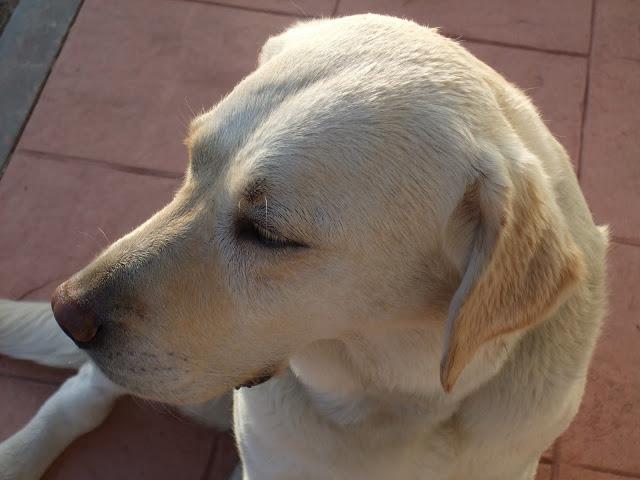 Trabajar en equipo Trabajar en equipo