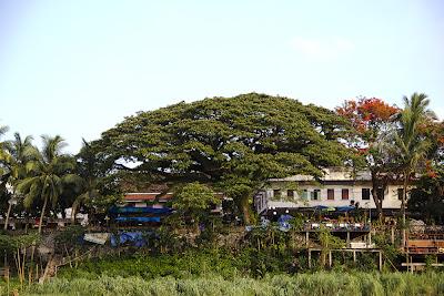 Navegando por el Mekong Navegando por el Mekong