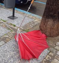 En Cádiz, los elementos no vienen solos En Cádiz, los elementos no vienen solos