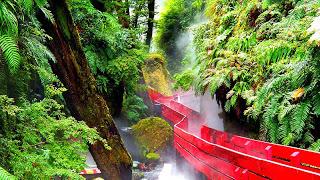 Termas Geométricas en Coñaripe, Chile