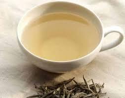 Té blanco: té de la belleza y ¿elixir de la juventud? té blanco2 Té blanco: té de la belleza y ¿elixir de la juventud?