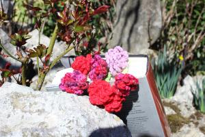 Per l’abril cada rosa en val deu mil!!! IMG_8487