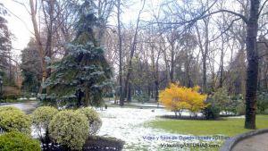 Campo San Franciso bajo la nieve en Oviedo 2013: 2 Videos y fotos