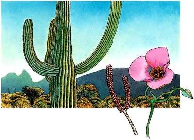 El Cactus y el Pájaro El Cactus y el Pájaro