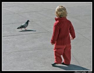 tengo palomas en los ojos tengo palomas en los ojos