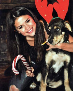 Baylor,  el perro de Justin Bieber y Selena Gómez