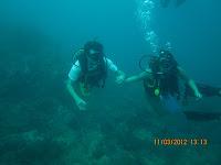 Diario de buceo en el Parque Tayrona: Sentimientos, aprendizajes y demás yerbas del curso