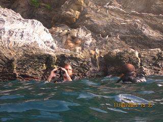 Diario de buceo en el Parque Tayrona: Sentimientos, aprendizajes y demás yerbas del curso