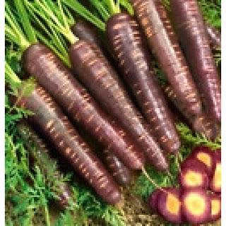 Zanahorias de colores. Zanahorias de colores.