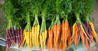 Zanahorias de colores. Zanahorias de colores.