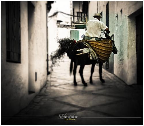 PRIEGO DE CÓRDOBA