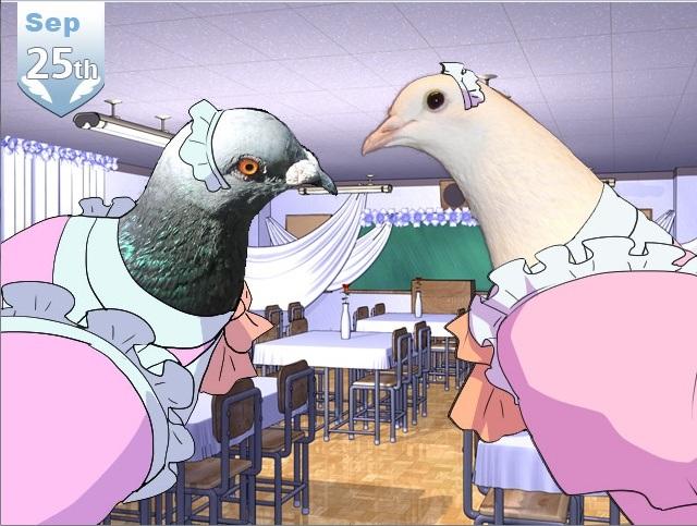 El destino, las palomas y las violaciones Sin título El destino, las palomas y las violaciones