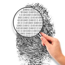 Internet lo sabe todo sobre ti Internet lo sabe todo sobre ti