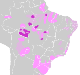 Distribución de las lenguas tupí en violeta y tupí guaraníes en rosa. Los genios no deben morir