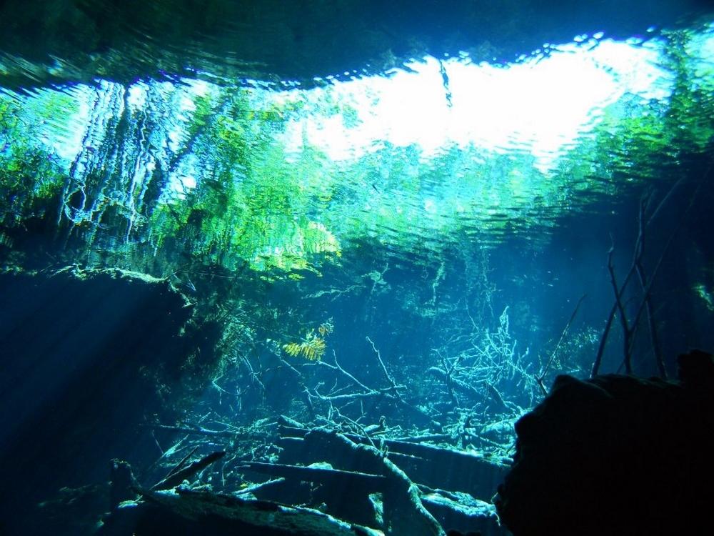 Vista desde el fondo de un cenote maya