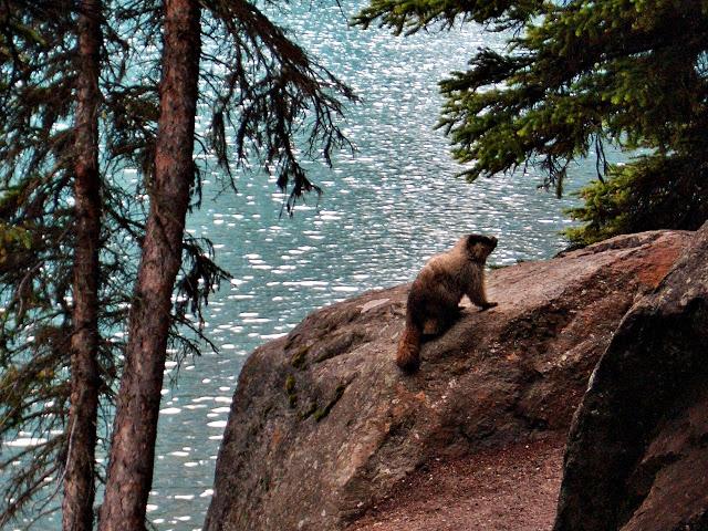 Parque Nacional de Banff y PN Yoho - Montañas Rocosas