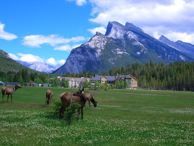 Parque Nacional de Banff y PN Yoho - Montañas Rocosas