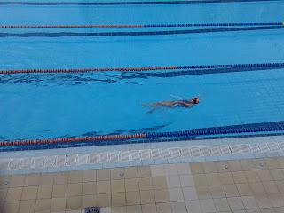 Preparando la copa alevina Preparando la copa alevina