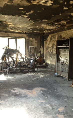Se incendia el departamento de Ashley Greene y muere su perro (FOTOS)