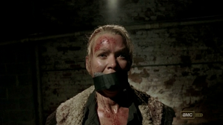 7 imágenes, 7 series (CLIII) 7 imágenes, 7 series (CLIII)