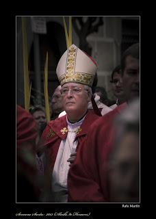 Procesión Domingo de Ramos en Alcalá de Henares, por Rafa Martín