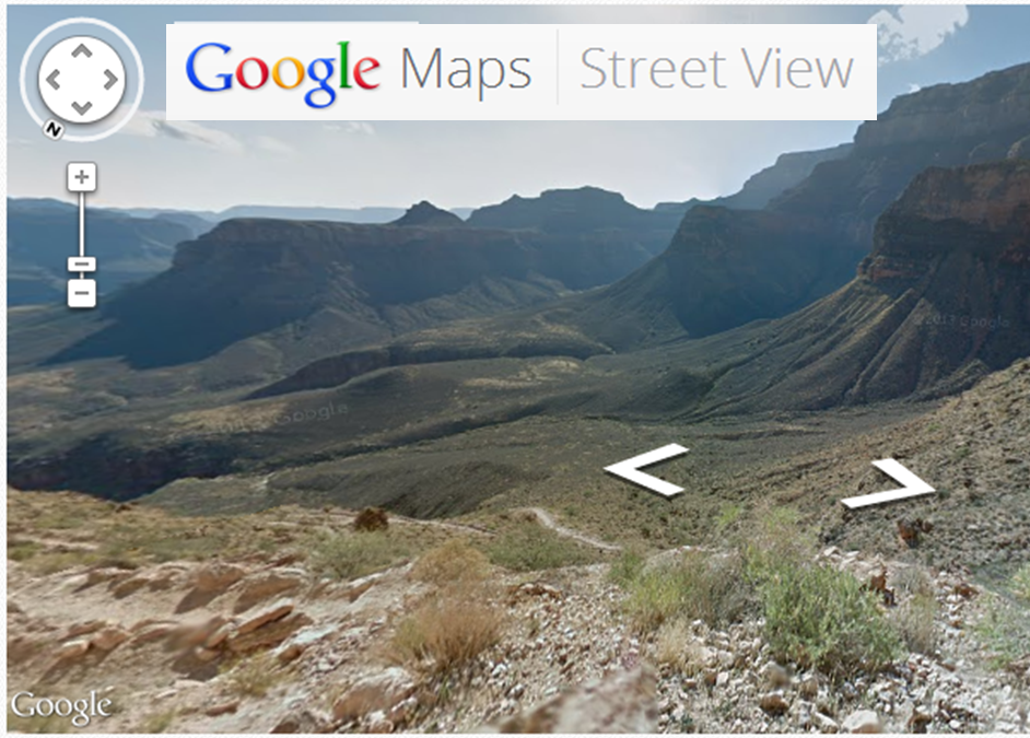 Una herramienta de Google para estudiar hábitats de especies portada