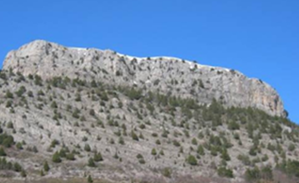 Una herramienta de Google para estudiar hábitats de especies study area