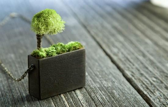 Mr. Lentz: Plantas naturales como piedras preciosas Mr. Lentz: Plantas naturales como piedras preciosas