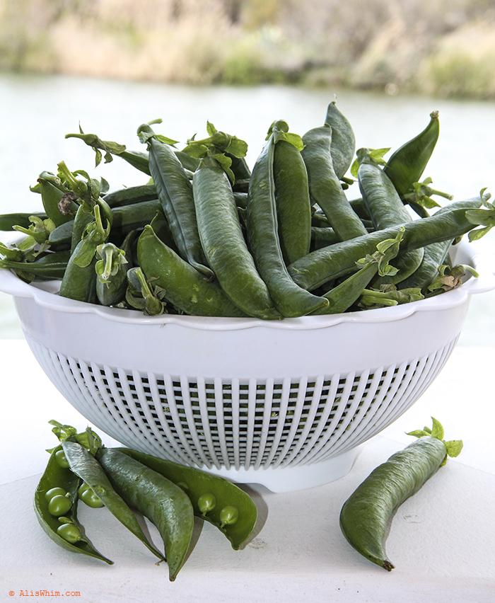 El guisante crudo: un lujo de legumbre raw peas