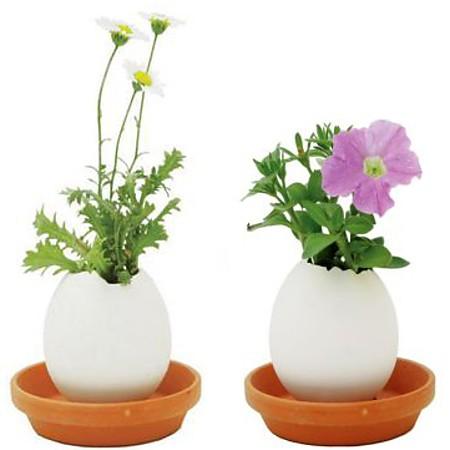 ¿Huevos de Pascua o macetas? ¿Huevos de Pascua o macetas?