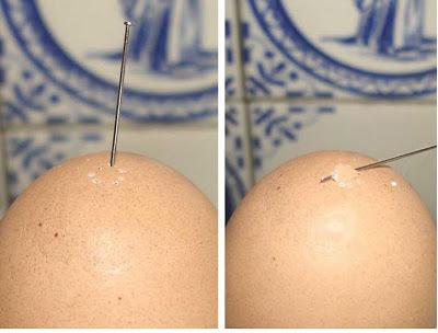 ¿Huevos de Pascua o macetas? ¿Huevos de Pascua o macetas?