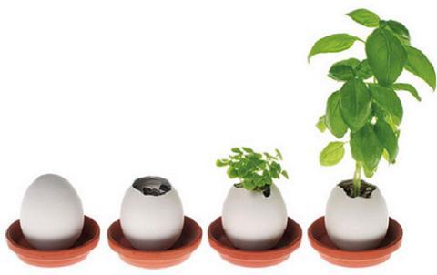 ¿Huevos de Pascua o macetas? ¿Huevos de Pascua o macetas?