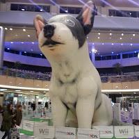 INSTAMOMENTSDisfrutando del sol (sunny) / Disfrutando de ... INSTAMOMENTSDisfrutando del sol (sunny) / Disfrutando de ...