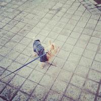 INSTAMOMENTSDisfrutando del sol (sunny) / Disfrutando de ... INSTAMOMENTSDisfrutando del sol (sunny) / Disfrutando de ...