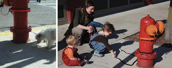 Animales en miniatura invaden las calles Nanoblock panda perro león lego calle ambient marketing de equipo detroit street 2