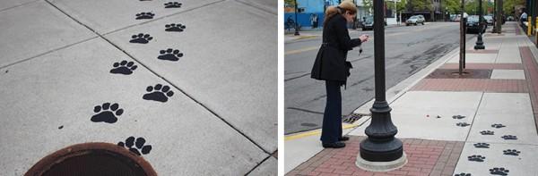 Animales en miniatura invaden las calles Nanoblock panda perro león lego calle ambient marketing de equipo detroit calle 6